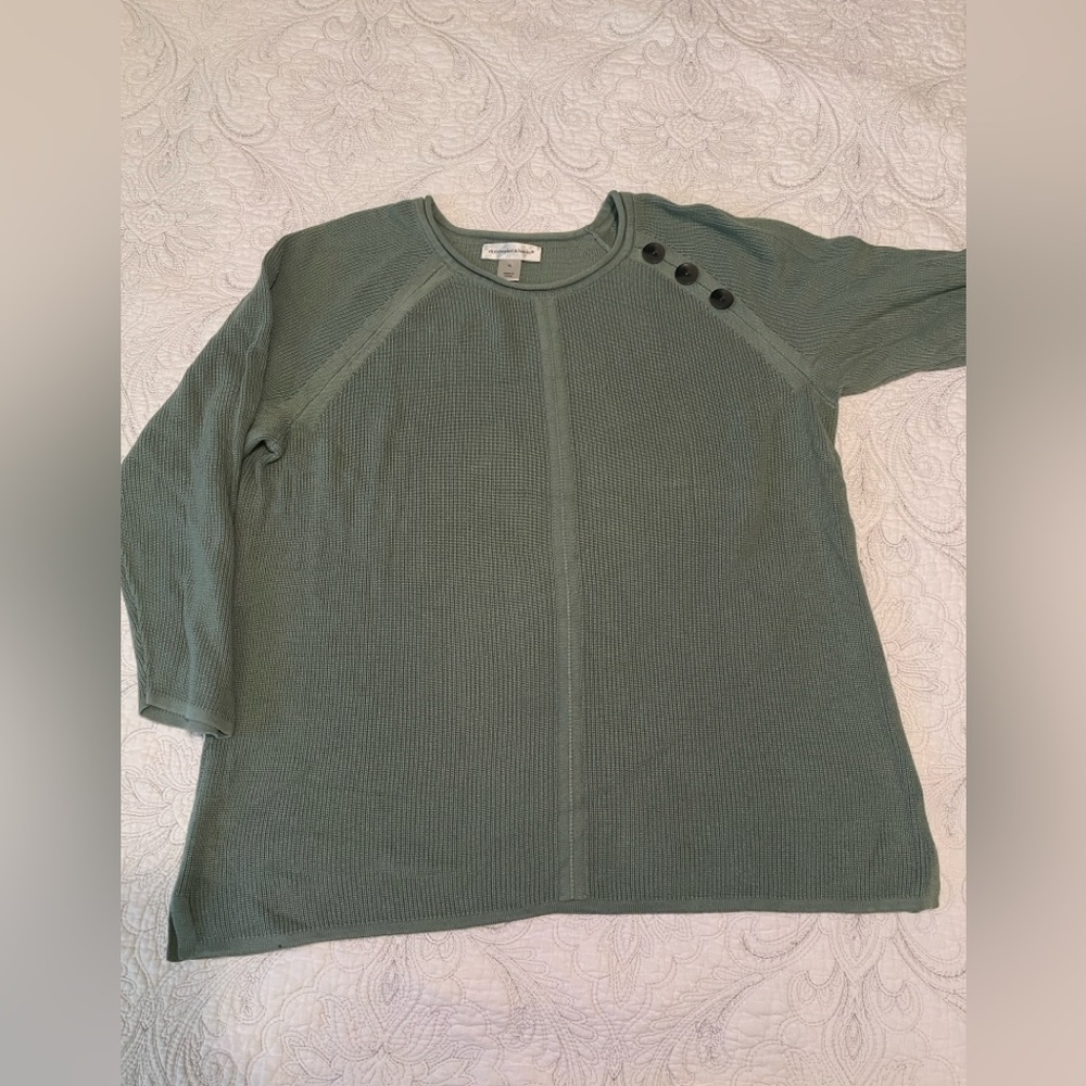 Christopher and Banks, sage green xl sweater